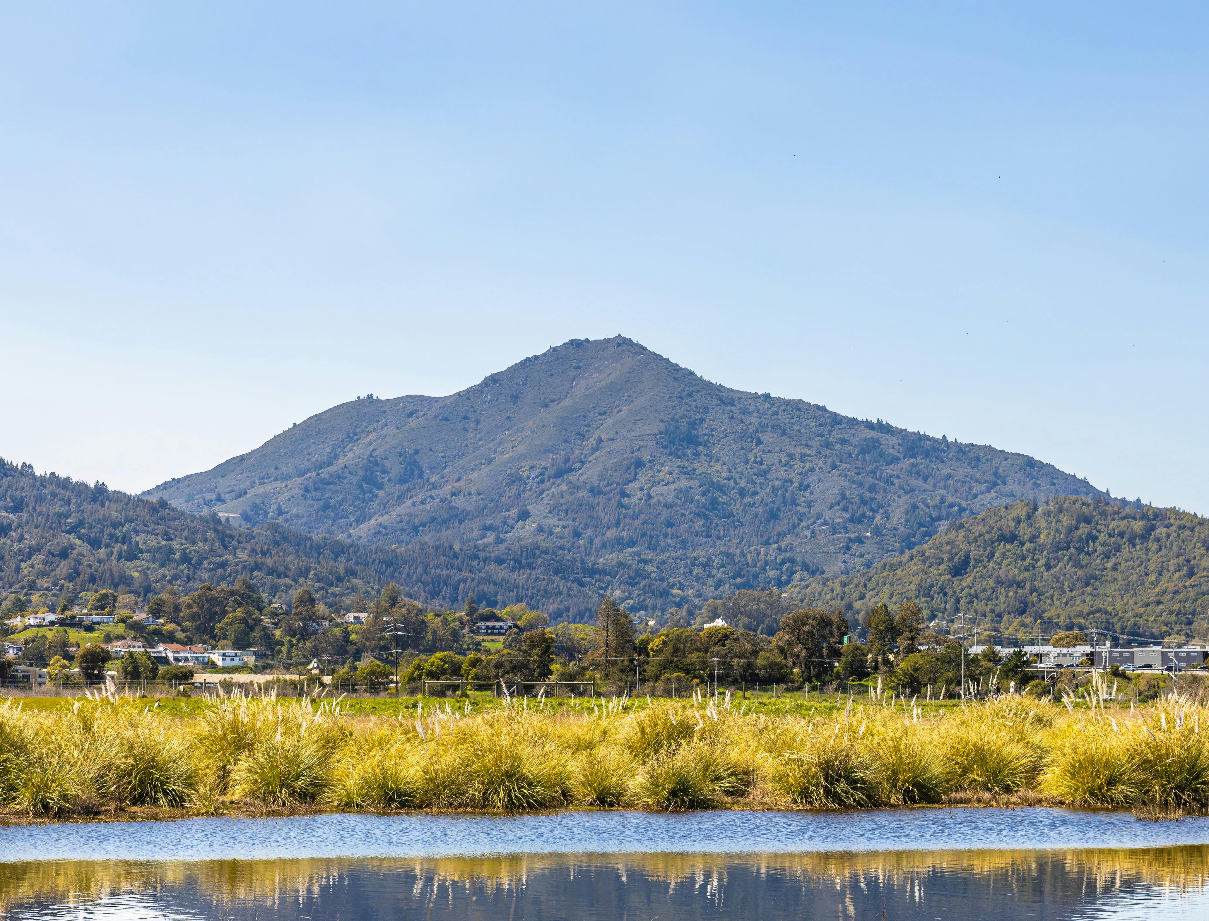 Mt. Tamalpais and Marin County landscape